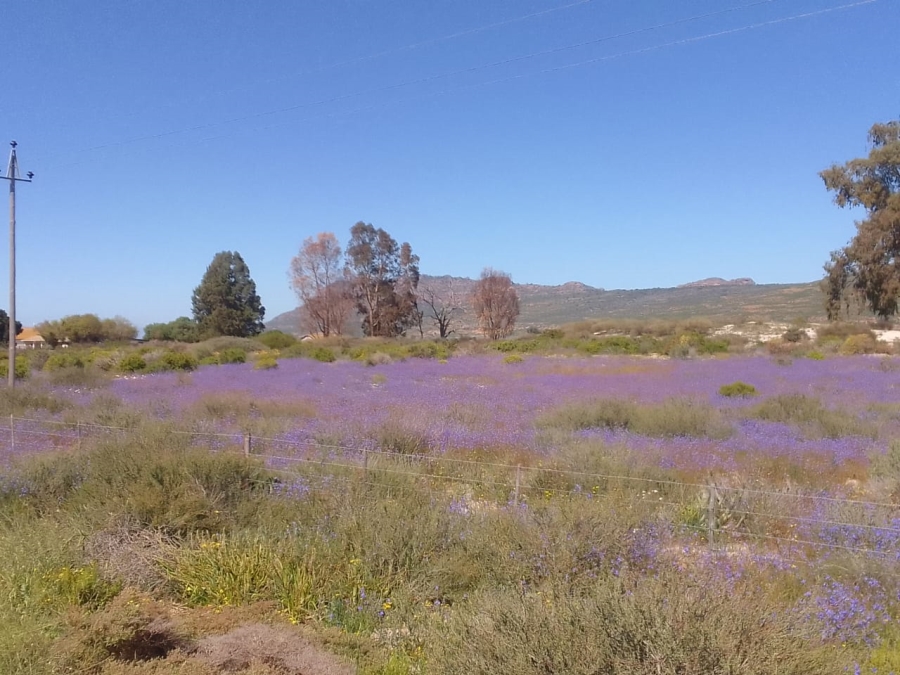 3 Bedroom Property for Sale in Redelinghuys Western Cape
